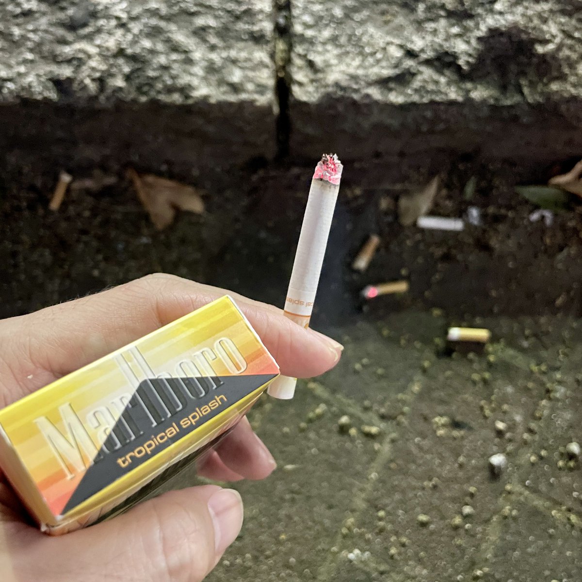 smokers_lover's tweet photo. 夜の一本🚬 https://t.co/YnLolFuOZF