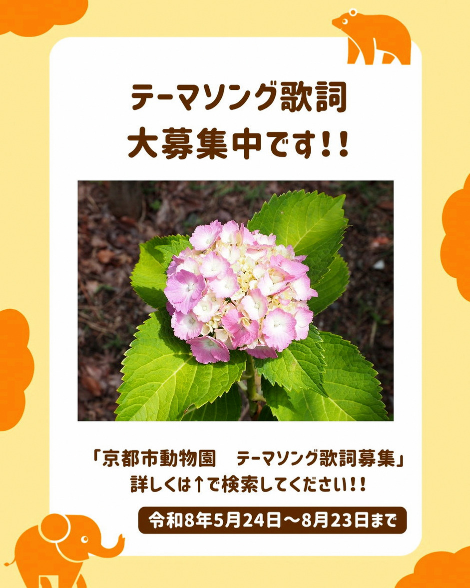 VoidSniping_'s tweet photo. ロウワーの歌ってみた、TikTokでもXでも沢山いいねいただけてるのにYouTubeだけ3いいねなのはなんでなんだ...
良かったらYouTubeの方もいいねかコメントしてくれると嬉しいしモチベになります😭
プロフィールから飛べるのでぜひ！！！
YouTube行ってくれた人は教えてね！ https://t.co/tirOAsxLUb
