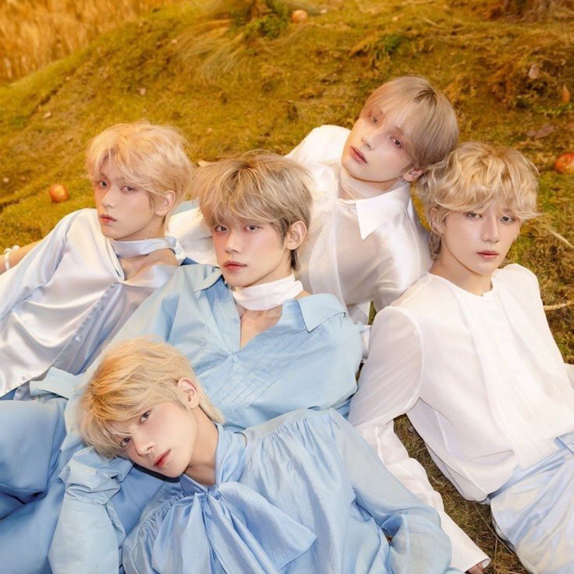 beomlovz's tweet photo. @ and2ble lets reheat txt’s nachos and go ot5 blonde https://t.co/CN8saybgVb