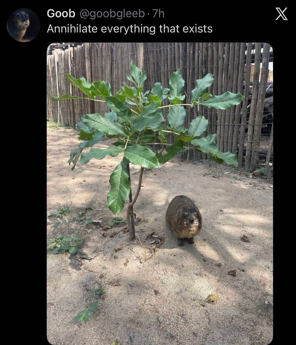 Caffi_chai's tweet photo. Annihilate everything that exists

#ZenlessZoneZero https://t.co/p6ueyGoD1Y