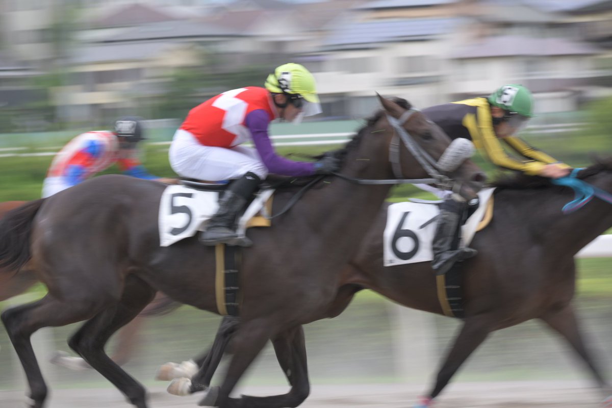 kinie334's tweet photo. 今日も浦和競馬場に来ている https://t.co/lSrvBU9VYp