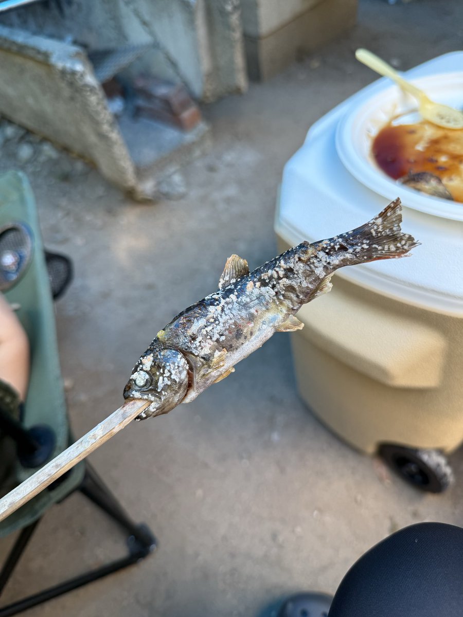 rikoto0102's tweet photo. 鰻も川魚も美味かった
でも、めっちゃ疲れた😇 https://t.co/0DRBCFmLNM