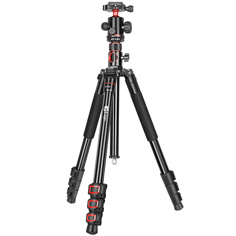 ankycreative's tweet photo. New to photography Start with these 3 tips: 1. Keep your camera steady (use a tripod if you have one!) 2. Shoot in natural light 3. Get close to your subject. Practice daily, you’ll get the hang of it! https://t.co/uaFHdL4LVC
