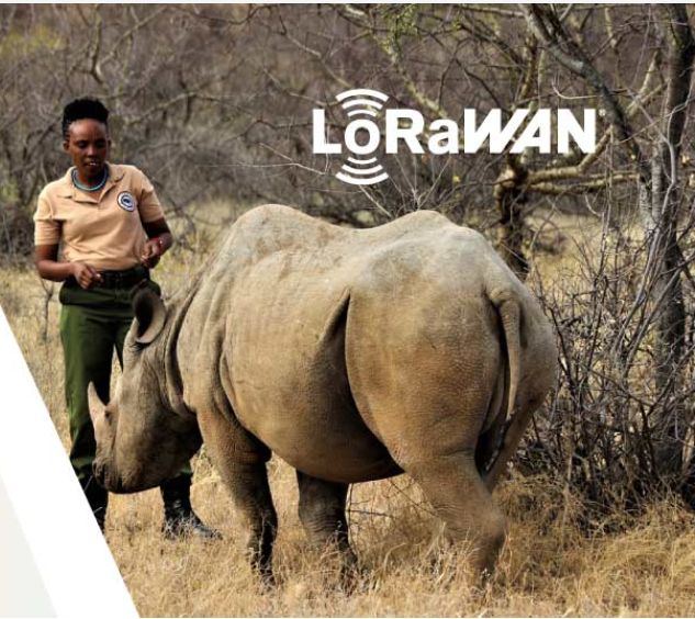 infokingfin's tweet photo. 🦏 Protect wildlife with real time intelligence.

IoT Smart Wildlife Tracking to monitor animal movements, improve conservation response times, and support anti poaching efforts across Africa.

🔗 https://t.co/O4yyvEEAya
📩 Contact @infokingfin 

#WildlifeTracking #Conservation https://t.co/Gx0OcJTSe0