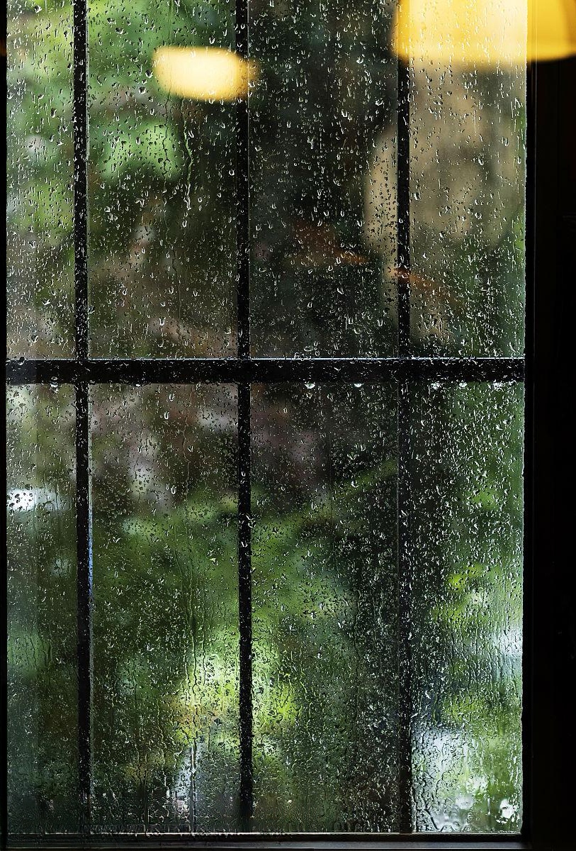 ZoraScottcqlz's tweet photo. Just stared at the rain tapping the window for 10 mins—my brain feels all fuzzy but calm, like a well-worn blanket fresh from the dryer.， https://t.co/qTNB9wxUbh