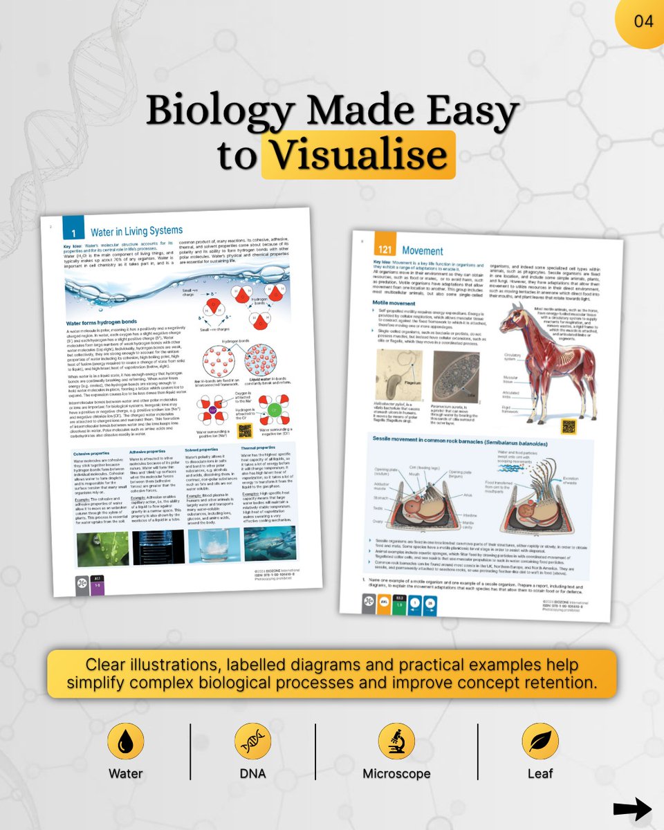 Biozoneasia's tweet photo. The best learning resources don't just present information—they encourage students to observe, question and apply scientific concepts through structured activities and visual learning.
Visit https://t.co/qFHiBtlMG6
#IBBiology #BiologyEducation #biozoneasia #BIOZONE https://t.co/Ev46QuX1jb