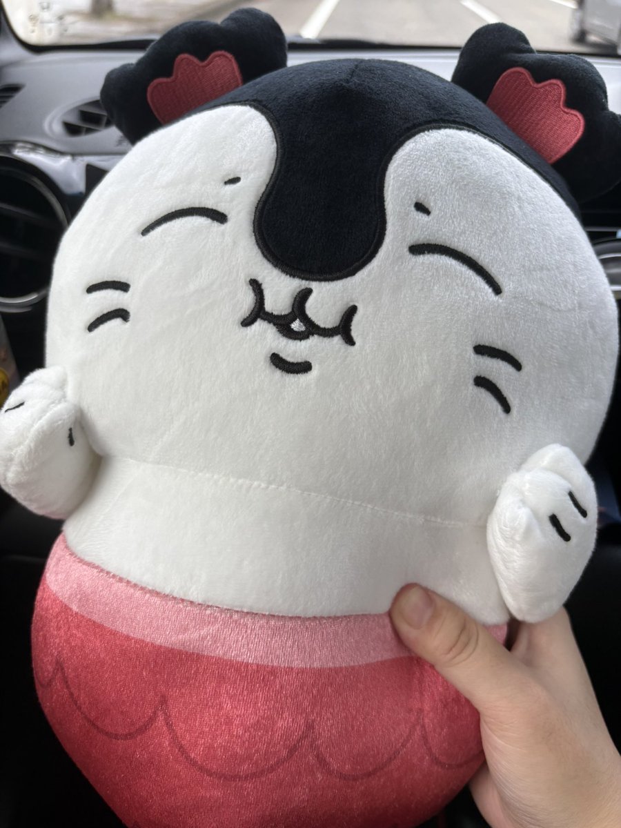 Q8942555's tweet photo. 最後の1人でした😭
ようこそ我が家へ(σ´∀`)σｹﾞｯﾂ!! https://t.co/uWvwjMHsQG