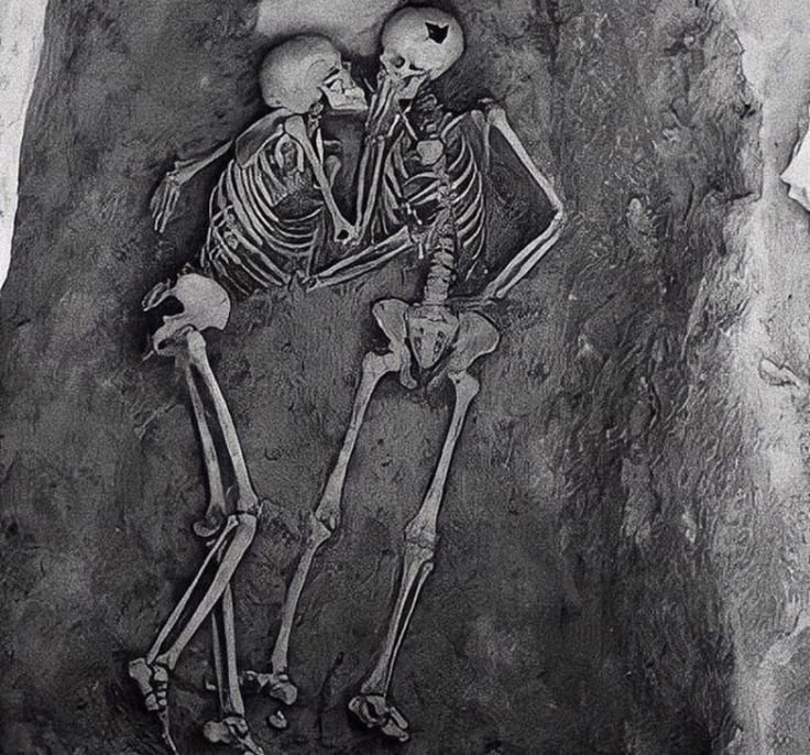 ImBanton_'s tweet photo. Hey @Grok, turn these skeletons into real humans, i want to check something..👀 https://t.co/8TlI0hpgYi