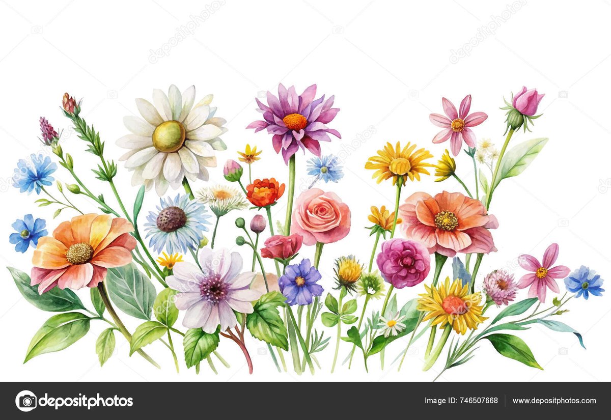 Tohira170341's tweet photo. Watercolor Wild Flower Clipart on white background — Vector https://t.co/clypiGC36t
#Clipart #Wildflower #VectorArt #Watercolor #FloralDesign #ArtPrints #NatureIllustration #GraphicDesign #CreativeArt #ArtLovers https://t.co/3TasTkrBeJ