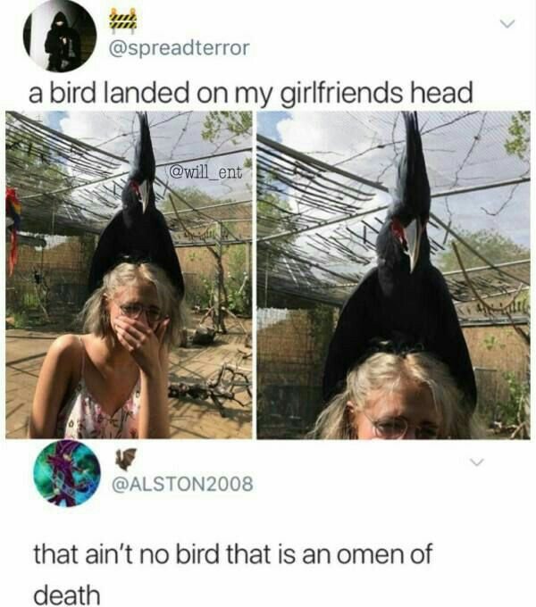 The_Regal_Raven's tweet photo. I am offended. https://t.co/6ldEFsjtAb