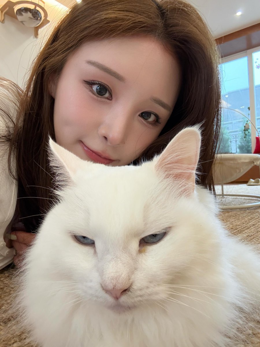 thuthuy57147984's tweet photo. Xin chaoo Mèo 😼 https://t.co/mcijItluGc