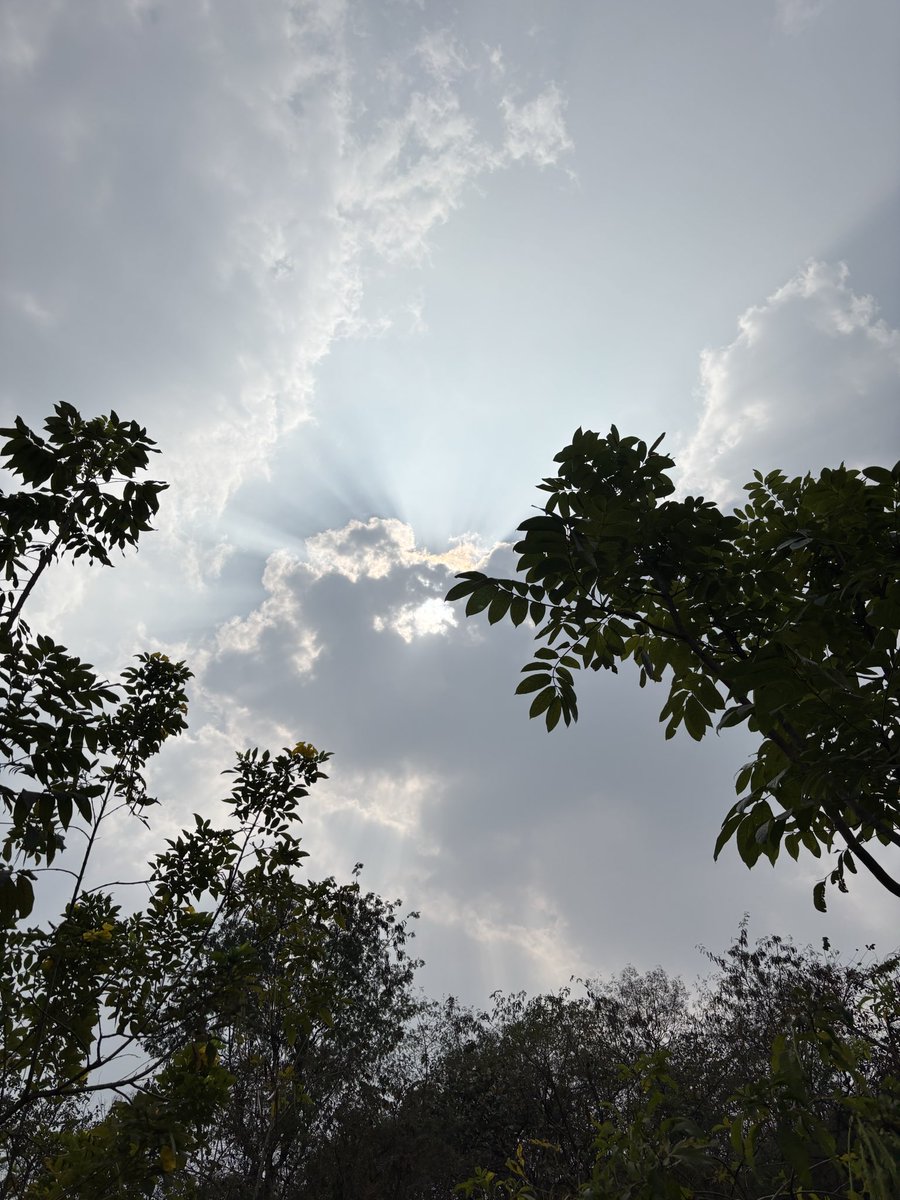 Indukadian's tweet photo. @amitdabasphotos Me looking up and admiring https://t.co/8GNyg1AoST