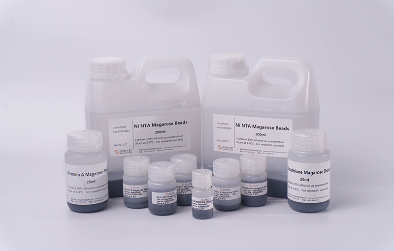 SmartLifeSci's tweet photo. Tired of low binding capacity & high non-specific binding in your pull-down assays?
Smart Lifesciences #Magarose #Magnetic Beads deliver consistent performance for #protein purification, Co-IP & #antibody capture.
📩 DM us for datasheets & trial samples. https://t.co/TaLTdYc917