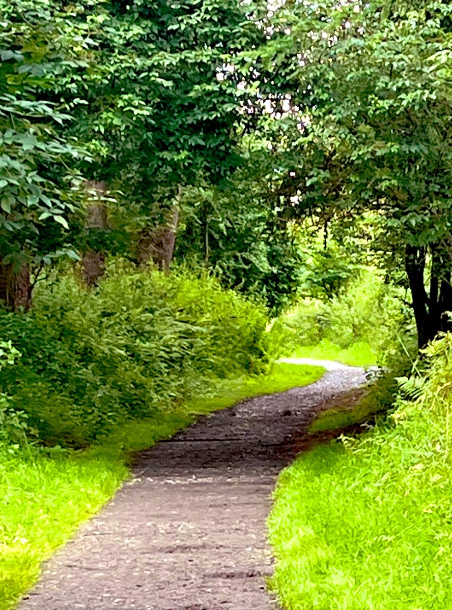 sandra_nimha's tweet photo. Time to get some steps in ..π₯Ύ#trailtuesday https://t.co/7bfyq481Rs
