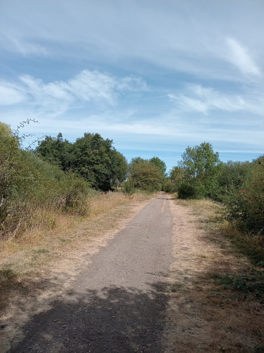 phil0073's tweet photo. On the #BramptonValleyWay,formally the line of #LNWR #railway,#Northampton2MarketHarborough aka #HarboroughLine,which ran from 1859-1981. Part of the #NationalCycleNetwork @WalkWheelCycleT. π #Northamptonshire .#PhilOnaBike #TuesdayTracks #FootpathFriday #BywayFriday #clouds https://t.co/Alev29HRRH