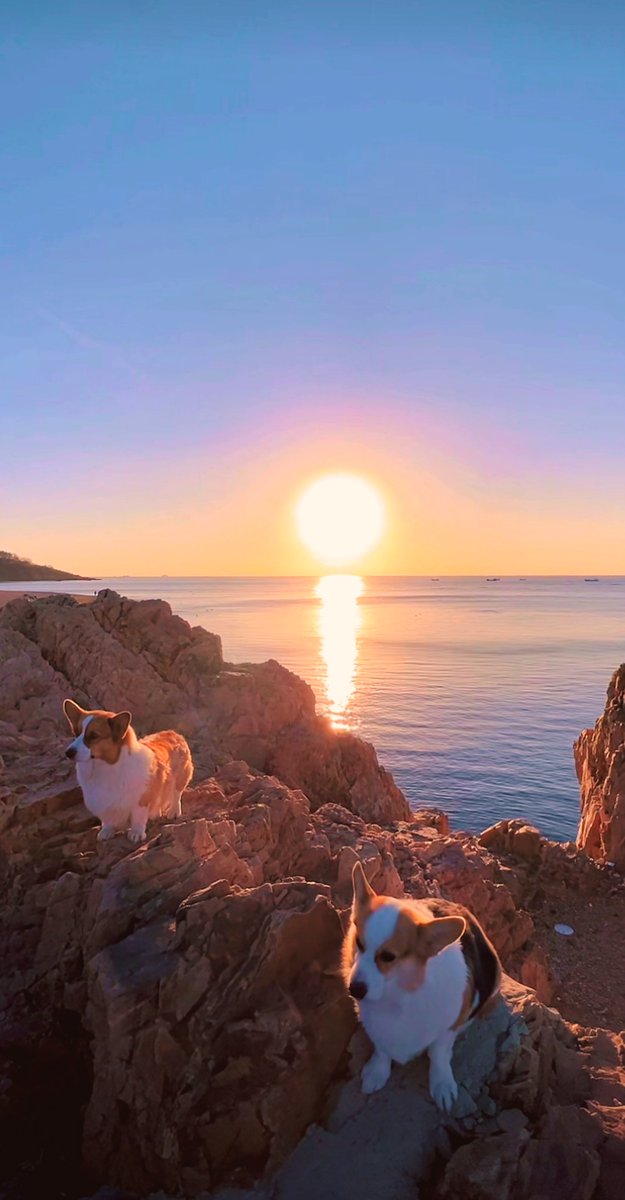 Masik3633's tweet photo. Just stumbled upon a hidden coastal cove at sunrise—no crowds, just golden waves and seagulls singing. This is why slow travel hits different. https://t.co/o1KUX9Dpkf