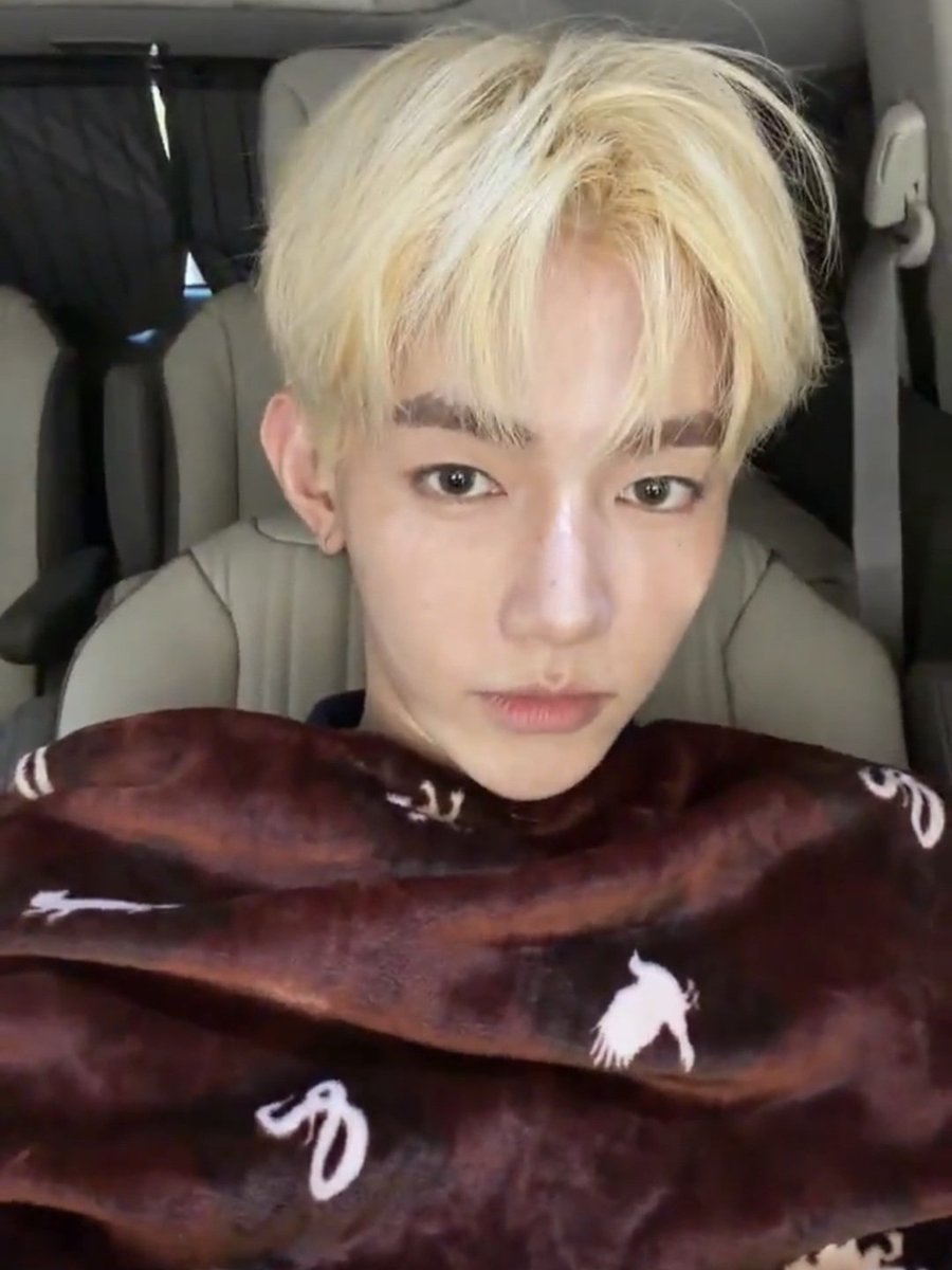 binneuls's tweet photo. blonde goddess https://t.co/sKvasMKzJH