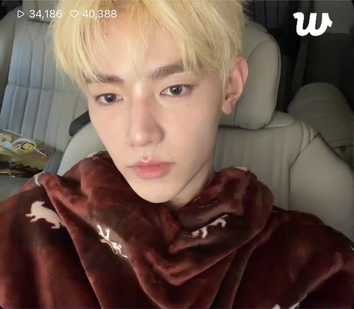 binneuls's tweet photo. blonde goddess https://t.co/sKvasMKzJH