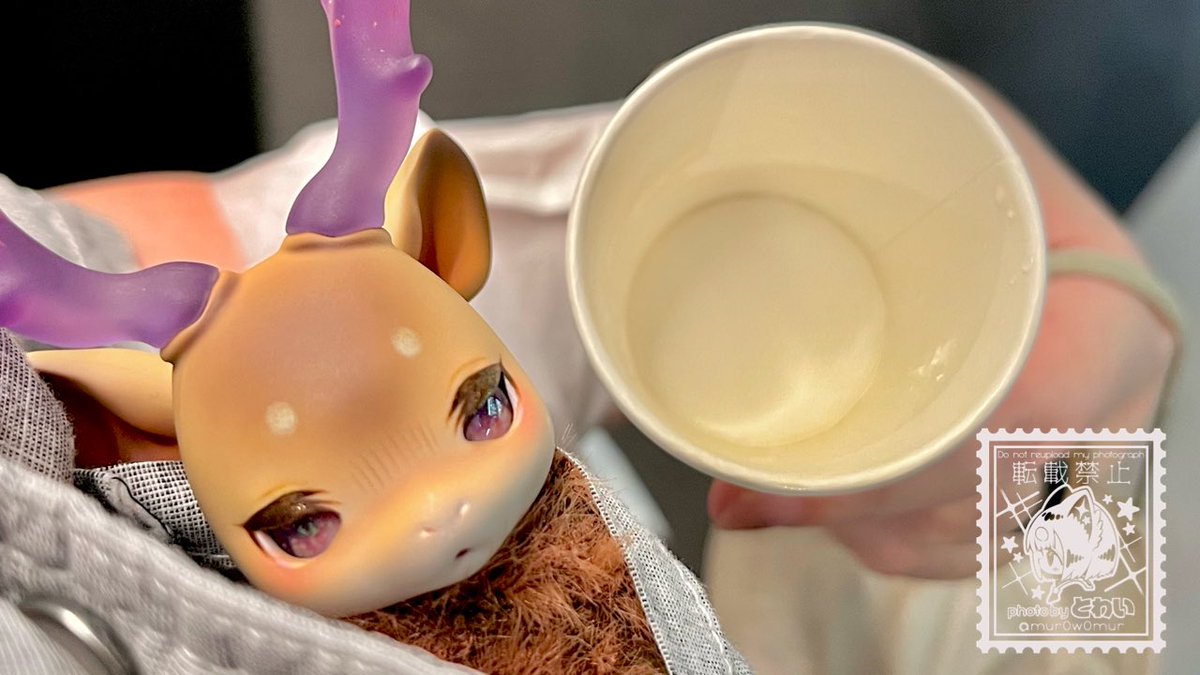 mur0w0mur's tweet photo. お酒試飲できるところで休憩🍶✨
鹿ちゃんのお酒あるね…飲むね……♡

飲んでる時は胸ポケットに入っててもらってたんだけれどかわいすぎるしあわせ
#cocoriang #shifty https://t.co/covfPX0EQw