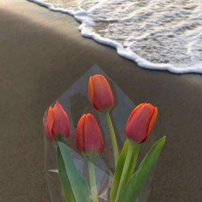 RoseGrant6's tweet photo. Every person’s story adds color to the canvas of life.  DiversityMatters 💎 https://t.co/gXOBhYztLO