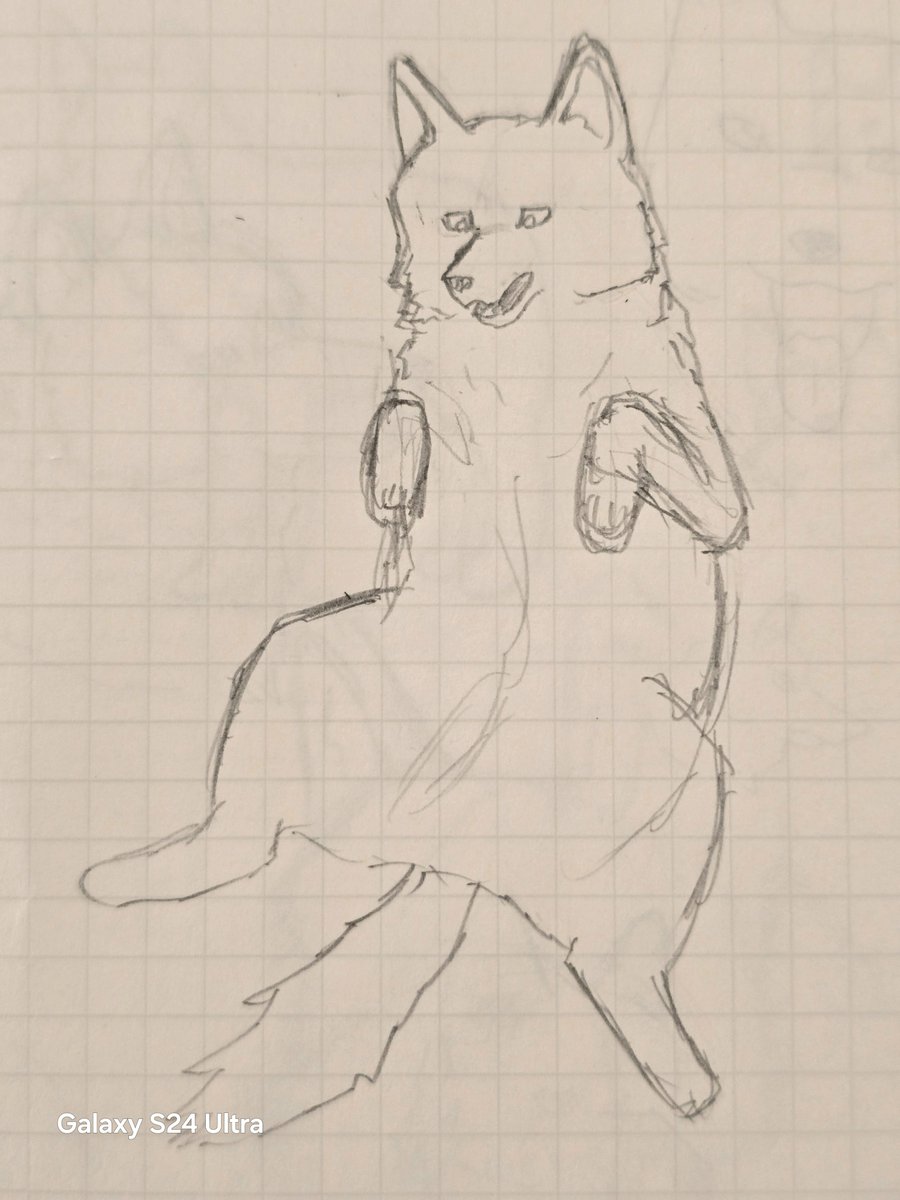 Wolflooov's tweet photo. 紙でも意外と描けた
昔描いたよねこんなの https://t.co/KPEatxPoHO