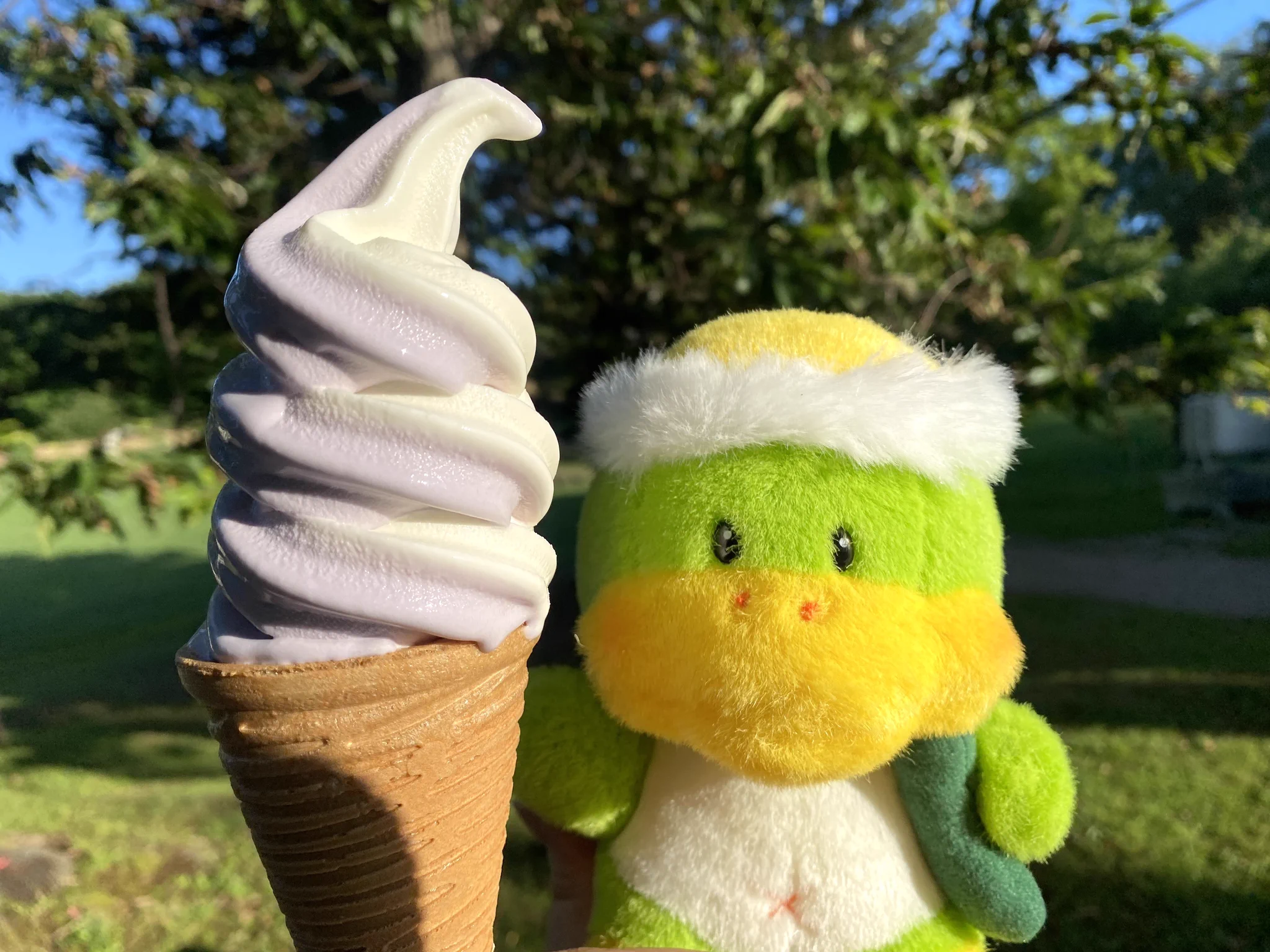 甲賀流忍者ぽんぽこ🍃たぬき！ a X: 