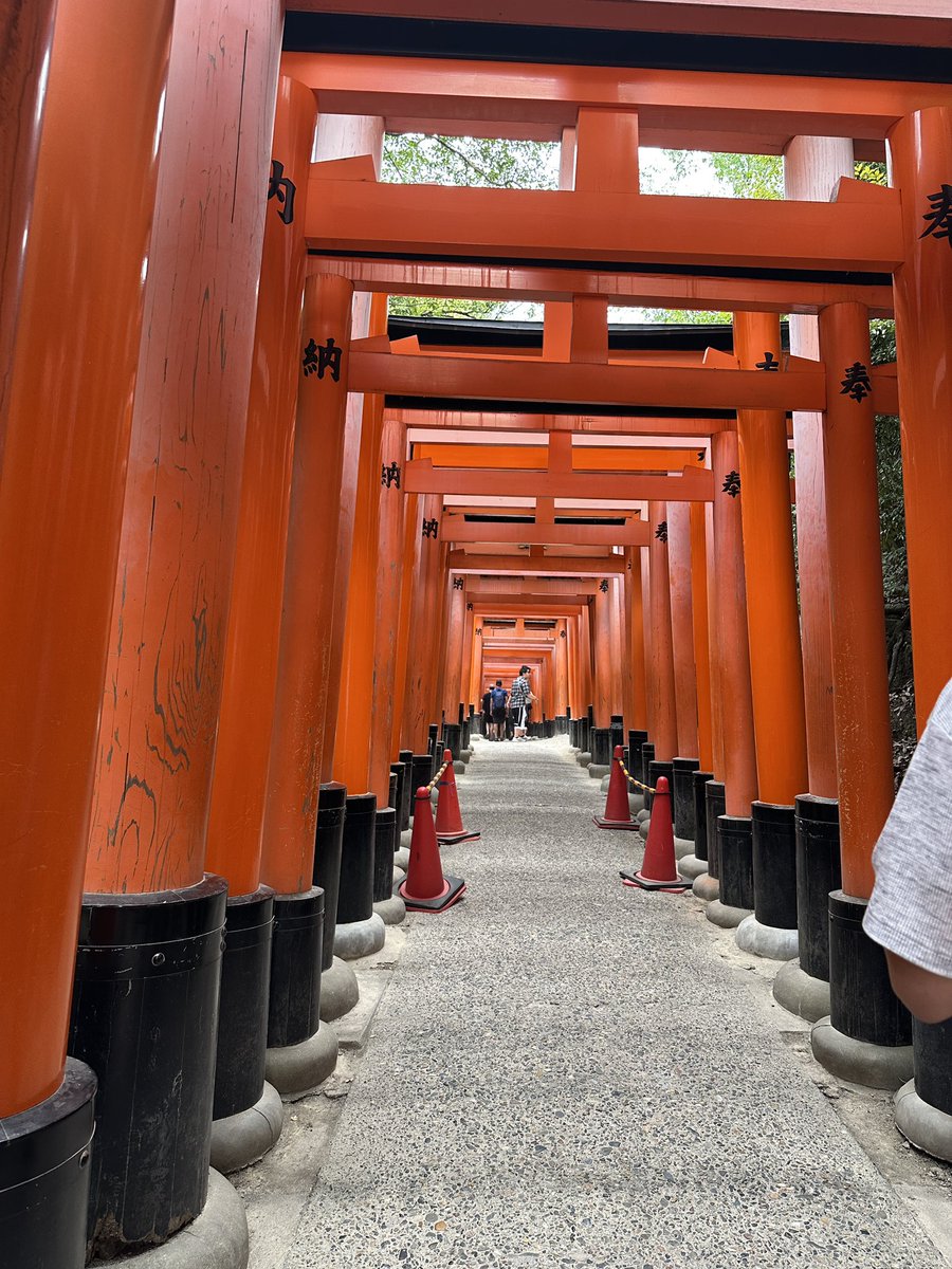 sobuki's tweet photo. 今日はこちらから
初伏見稲荷神社へ！
一番上まで登るか悩んで、途中の池から片道40分かかるとの看板を見て、パフォーマンスに影響しそうだったので断念。残念。 https://t.co/SChgzeVkyX