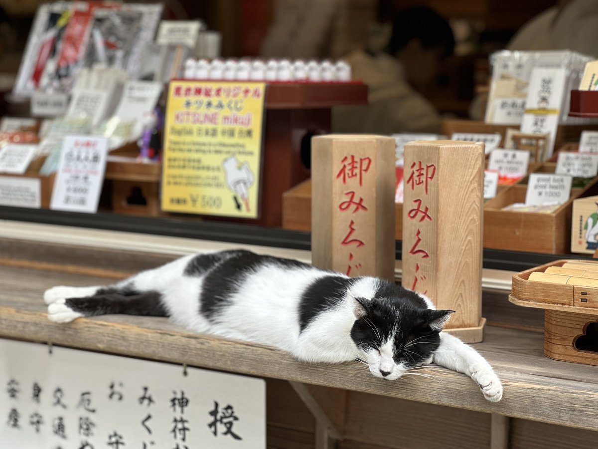 sobuki's tweet photo. 招き猫いた♪ https://t.co/4z8Nwso6CM