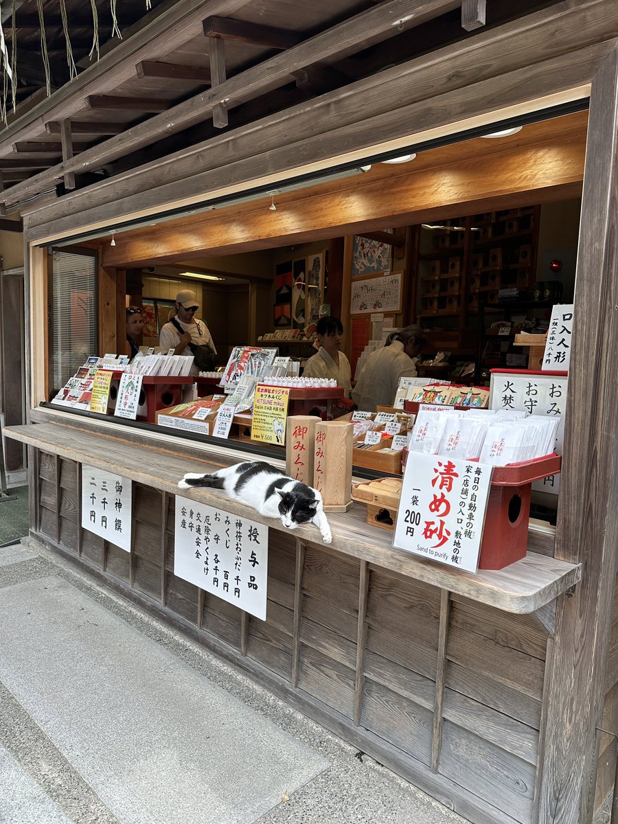sobuki's tweet photo. 招き猫いた♪ https://t.co/4z8Nwso6CM
