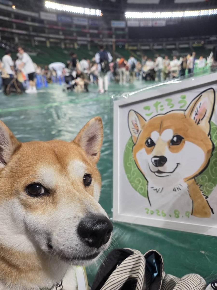 nsk_Jack's tweet photo. やぁこんにちは！

ここ3年くらいストリートファイター6という格闘ゲームにハマってるんですが

とうとう自分専用の自作コントローラーの制作に興味を持ち始めて
はんだごてをポチって、プリント基板を設計する為のKiCadというソフトをインストールしました

KiCadまだ全然わからんくて頭痛い https://t.co/8rQl6vnEUT