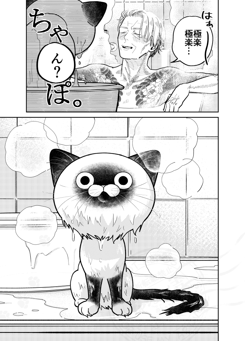 kata_yoli's tweet photo. 元極道、お風呂に入った猫を見て一言。

（０／４） https://t.co/0nnwKxdFaC