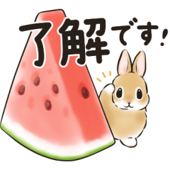 stamp_bank's tweet photo. [無料スタンプ速報] うさぎさん × LINEポケットマネー スタンプ(2026年09月09日まで) - 無料スタンプ・隠しスタンプ  LINEクチコミサイト｜スタンプバンク - https://t.co/ivru51FcEhを公開しました https://t.co/WldnpdKlHO