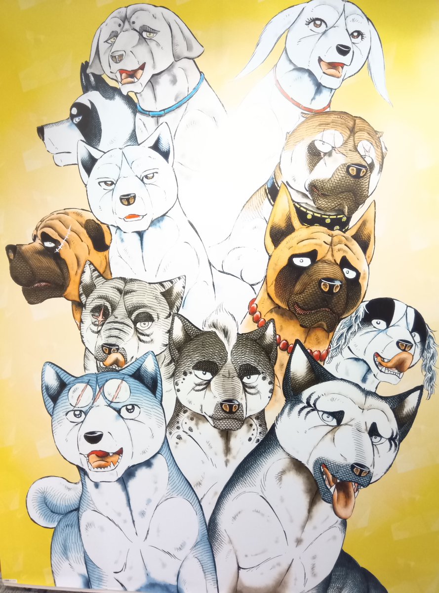 aki3w7yuki's tweet photo. 銀牙の世界展に行ってきました☺️ https://t.co/h7oiZKGAlH