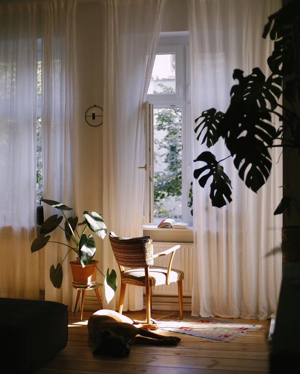 DarleneAbbqwoe's tweet photo. New to photography Remember this: natural light = your best beginner friend. Shoot near windows for soft, flattering shots—no fancy gear needed. Start small, keep it fun, and watch your skills grow! https://t.co/V1RbzPd1ps