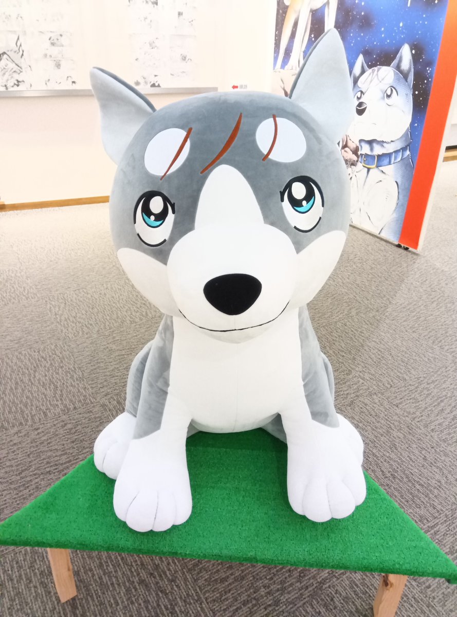 aki3w7yuki's tweet photo. 銀牙の世界展に行ってきました☺️ https://t.co/h7oiZKGAlH