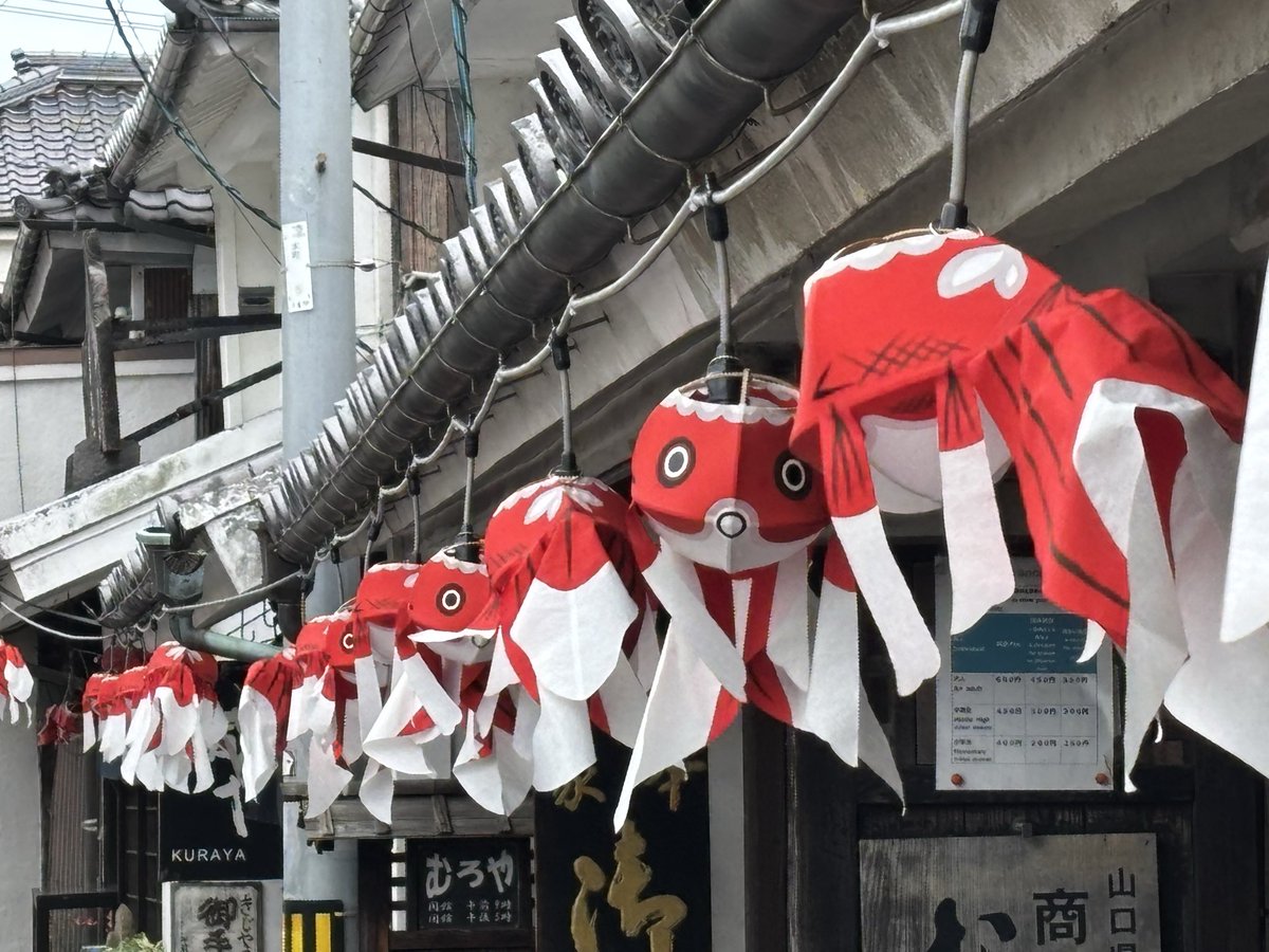 tomopen0616's tweet photo. 何気に人生お初となる
白壁の町並み(山口県柳井市)を散策。

1枚目は一眼&amp;レタッチ、
2.3枚目はスマホで撮影しました。 https://t.co/uoxuushTjz