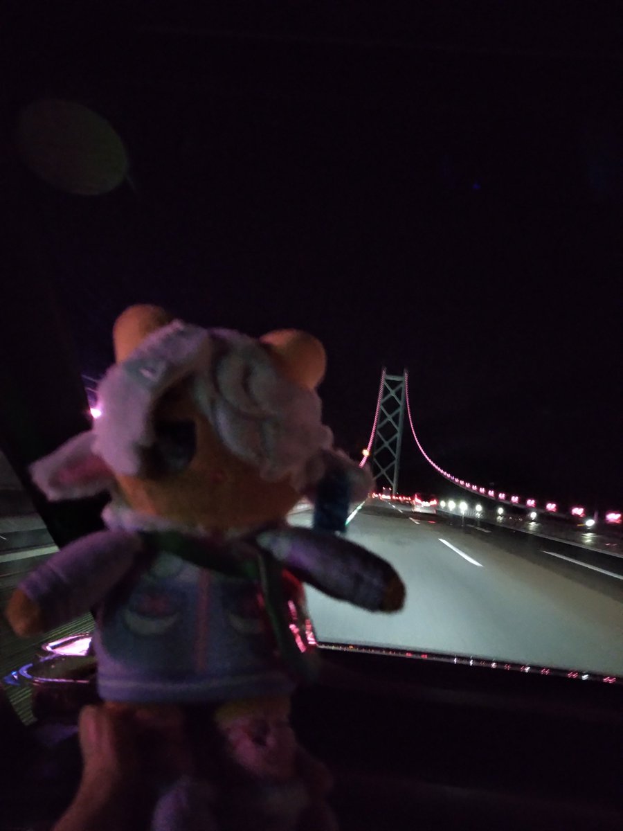 puqltoOo's tweet photo. まくらちゃん、淡路島だよ
#おでかけまくらちゃん https://t.co/Mif5KJRofx