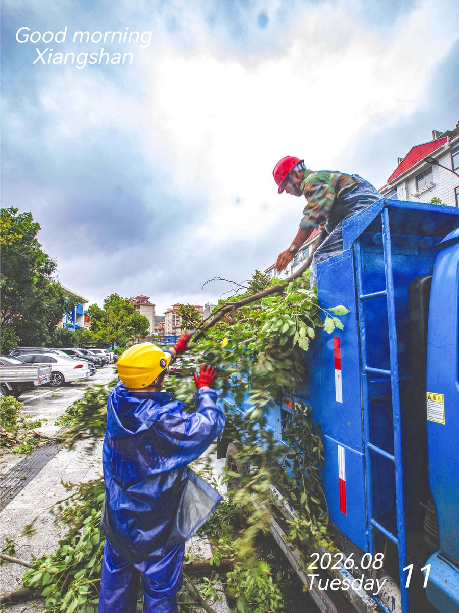 IXiangshan's tweet photo. Mass clean‑up operations get underway after the storm. Manpower and machines cooperate to straighten fallen trees and clear wreckage, bringing the city back to normal.
#DisasterRecovery #XiangshanChina #UrbanMaintenance https://t.co/PO6mbRlvrk