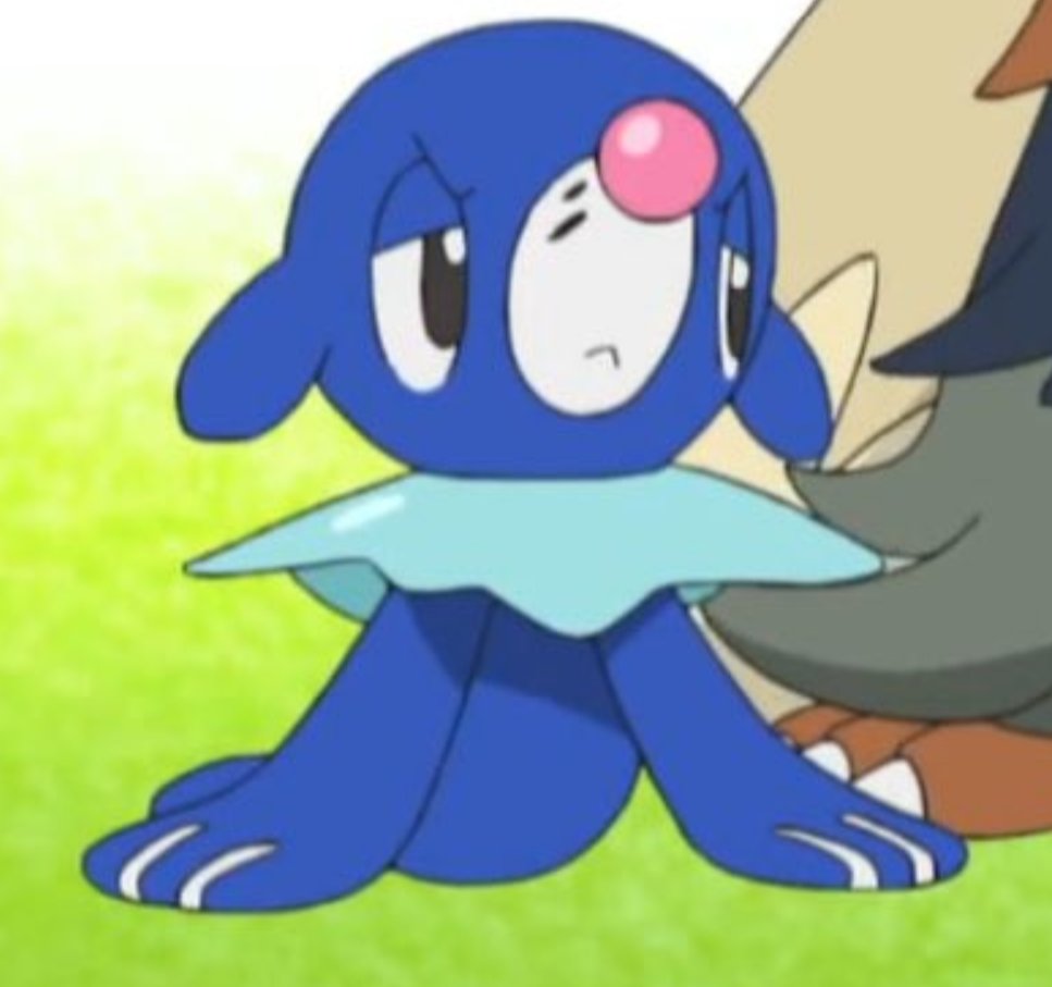 LuizStupidGuy17's tweet photo. popplio is so adorable when shes pissed off oh my god https://t.co/alPUM879zX
