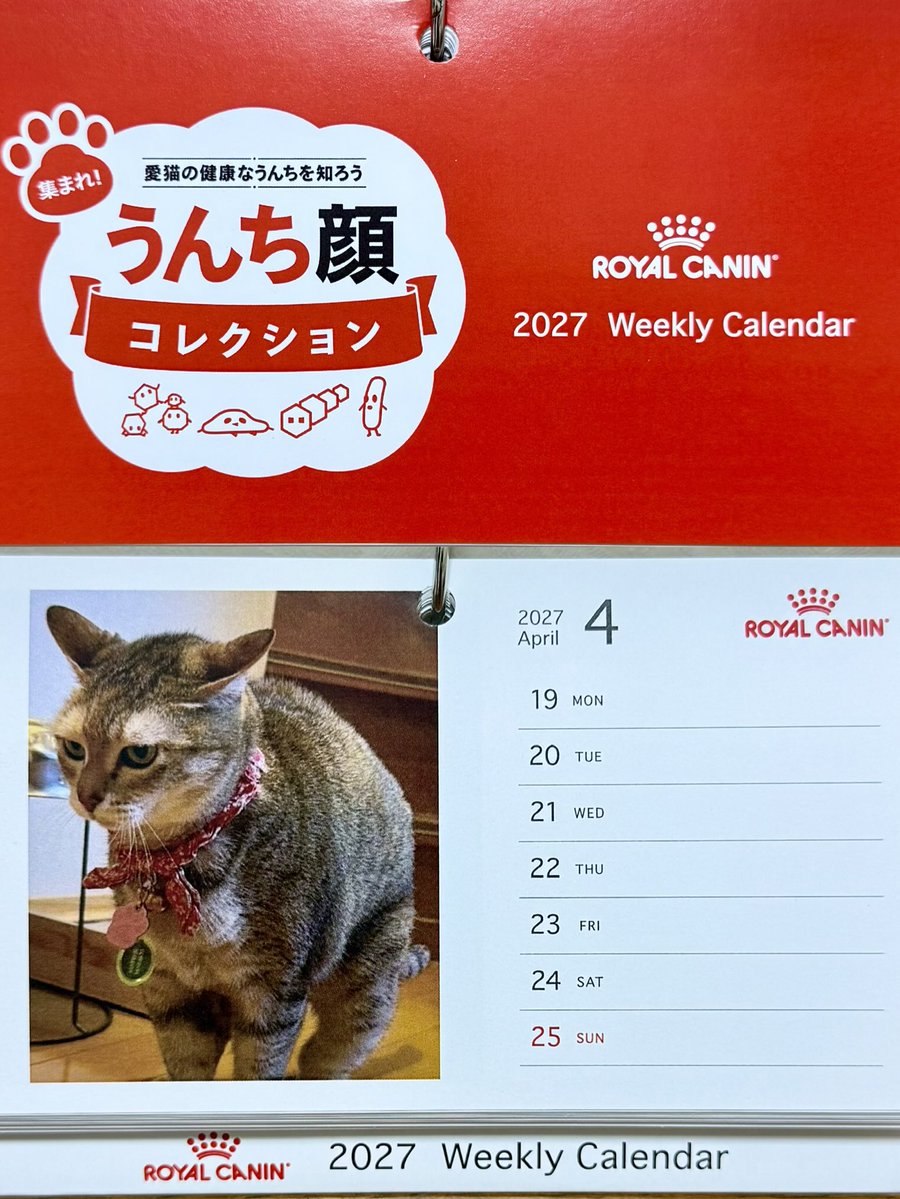 ku___loy's tweet photo. ロイヤルカナンｻﾏ( @RoyalCaninJP )の
💩集まれ！#うんち顔コレクション 💩で
来年のカレンダーに載せていただきましたー😆
#ロイヤルカナン #カレンダー https://t.co/kXzajJWSET