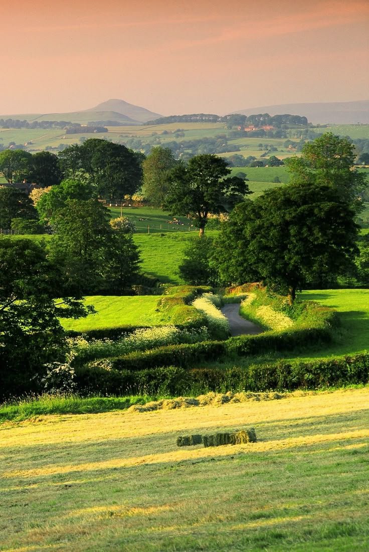 Worldviewes51's tweet photo. Countryside, England https://t.co/5vnHqeMBXh