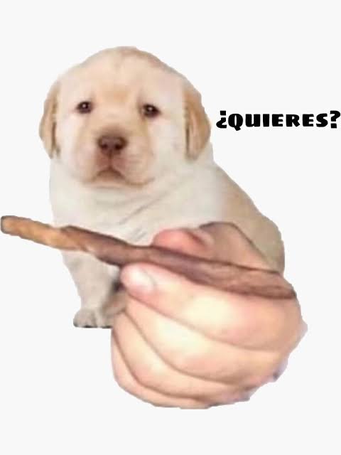 Chuy90845324's tweet photo. @_MissCabrona A fumar mota https://t.co/n49wYQ6vfH
