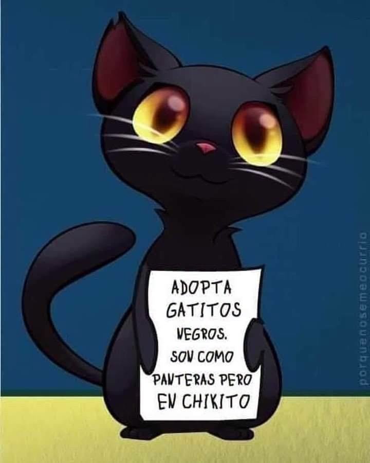 ManuSaenzVolvio's tweet photo. ❤️ https://t.co/Rx8IuhxANy