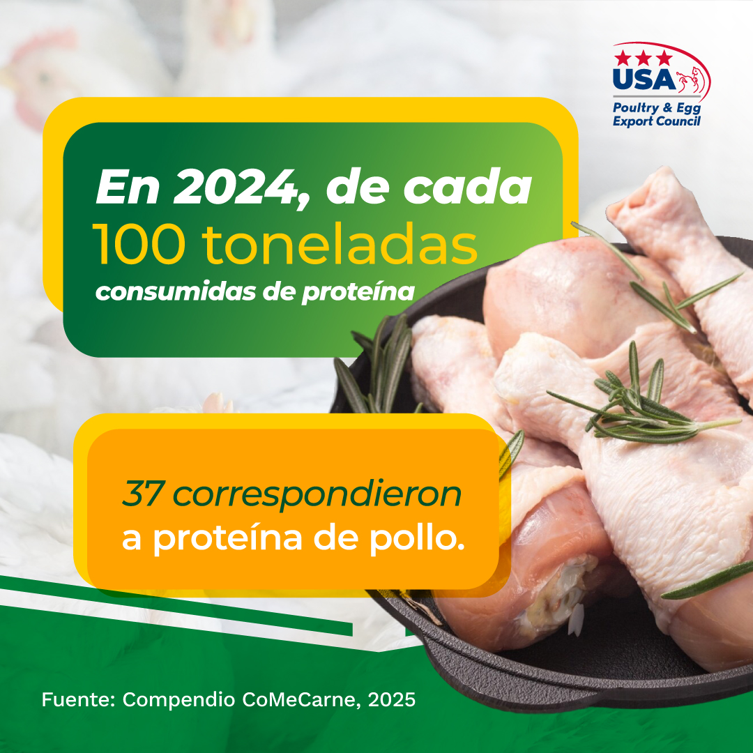 USAPEECMX's tweet photo. En 2024, de cada 100 toneladas consumidas de proteína, 37 correspondieron a pollo.
#Noticias #Noticia #México https://t.co/CMKYqFIreg