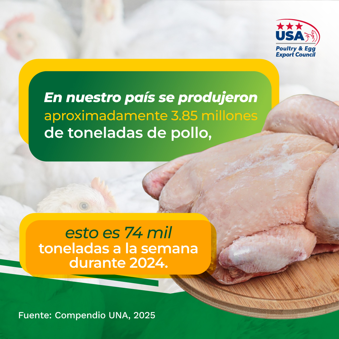USAPEECMX's tweet photo. En 2024 nuestro país se produjeron aproximadamente 3.85 millones de toneladas de pollo.
#Pollo #Producción #industria https://t.co/WR0rGuXui2