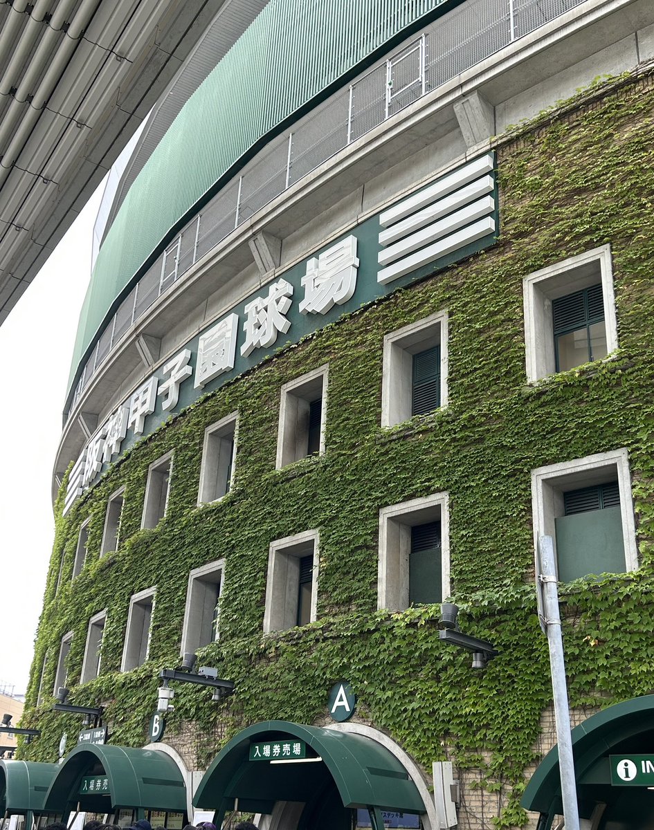 BlueCat_77's tweet photo. きのうに引き続き⚾️
今日は風が涼しくて良き

#高校野球 #甲子園 https://t.co/kW1ZEeqPDD
