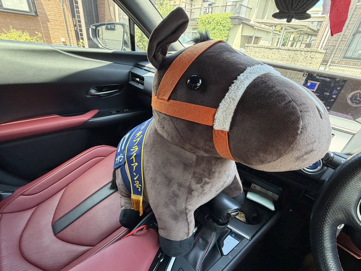 r1w83's tweet photo. お出かけ楽しみなのはわかるけどちゃんとおすわりして！
🐴「ﾋｯ!!ぷるぷる…」 https://t.co/mtGEN9SOVN