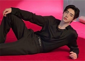 Angrande27's tweet photo. Love this genre of Sunghoon pose https://t.co/dXnNgcjIgc
