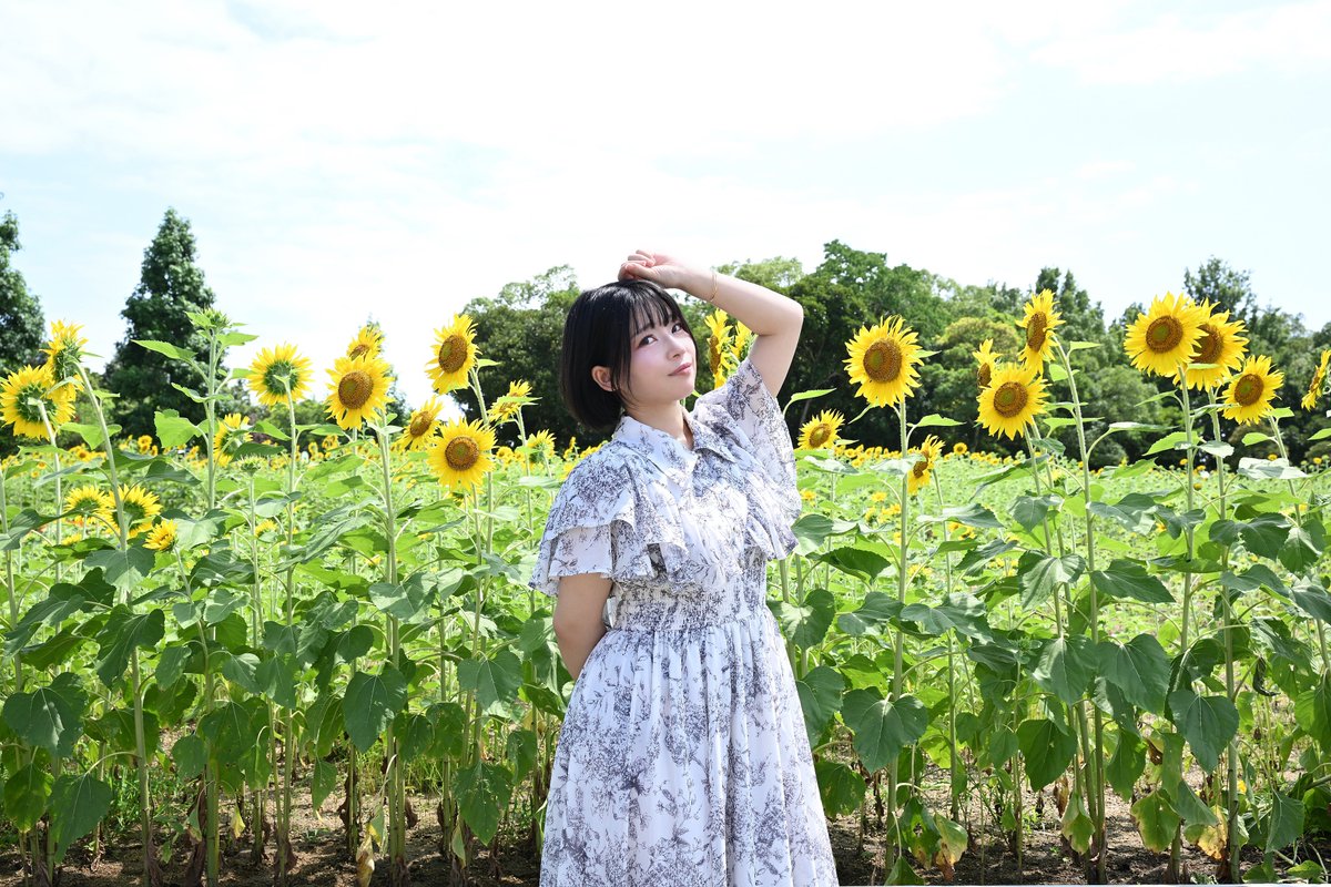 hikaderella_cos's tweet photo. himawari🌻
portrait @shinsan911 https://t.co/QlUhhpLQvi