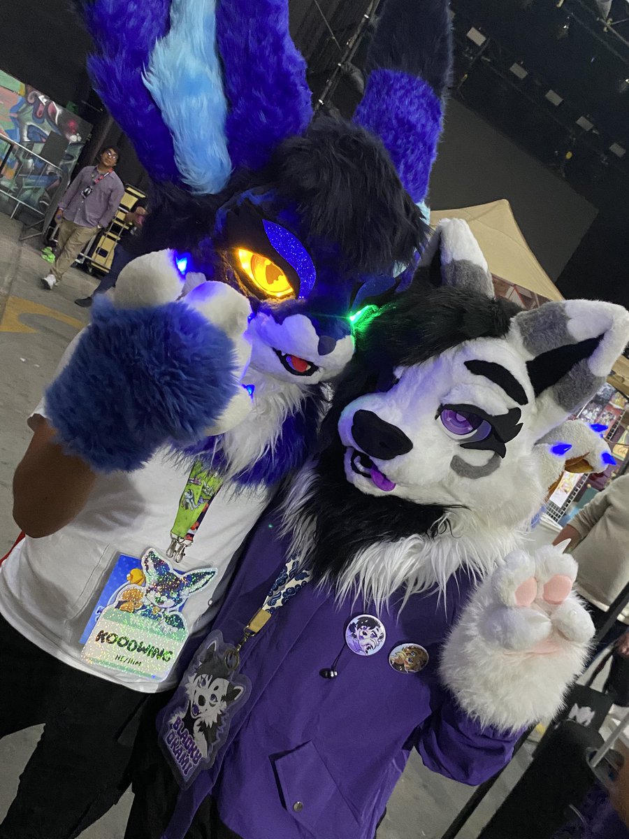 blacky0kami's tweet photo. Unas cuantas fotitos que me tome en la Fur Raymi owo
#furry #fursuit #furraymi #furraymi2026 https://t.co/bIXrVSIm9X